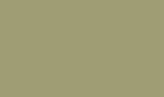 Façade uni, coloris Verde foglia